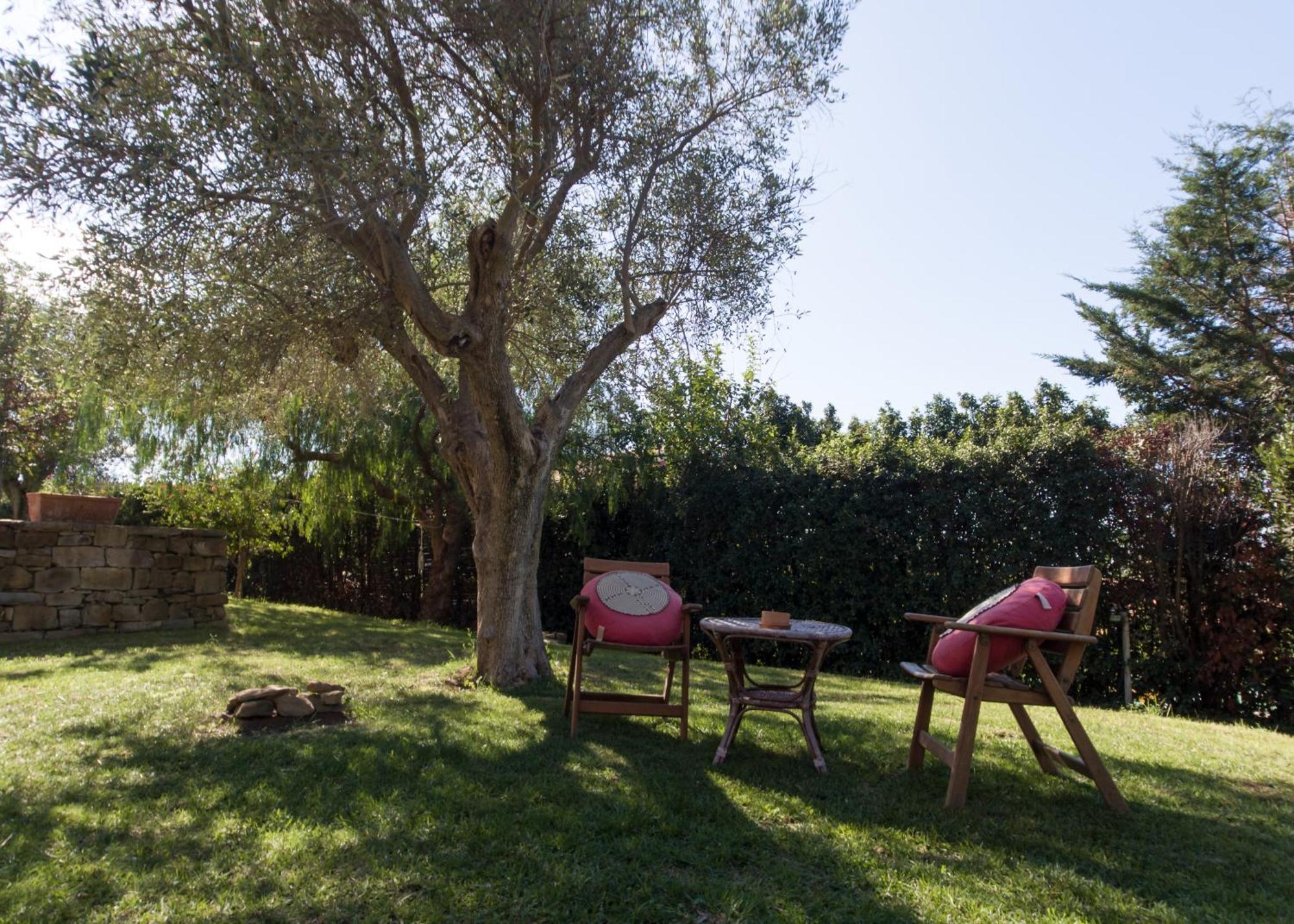 Villa Tresino Appartamenti Castellabate Eksteriør bilde